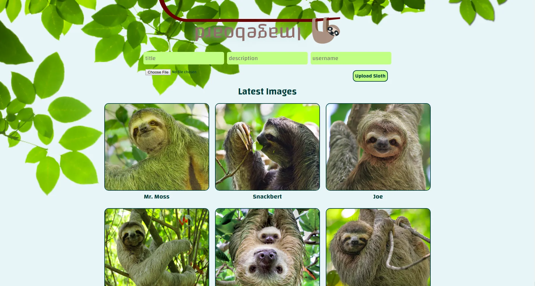 Imageboard - Gallery of Sloths preview